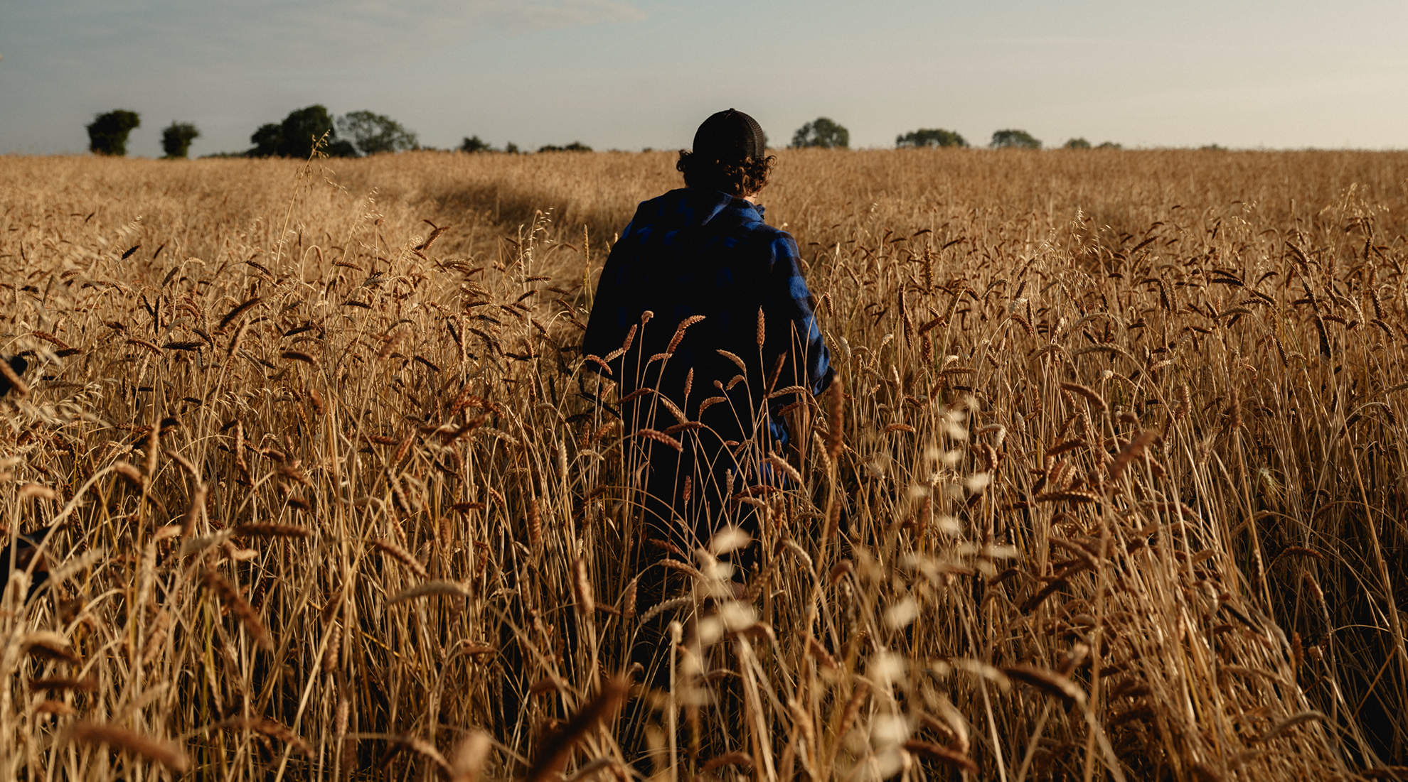 Better wheat, better bread