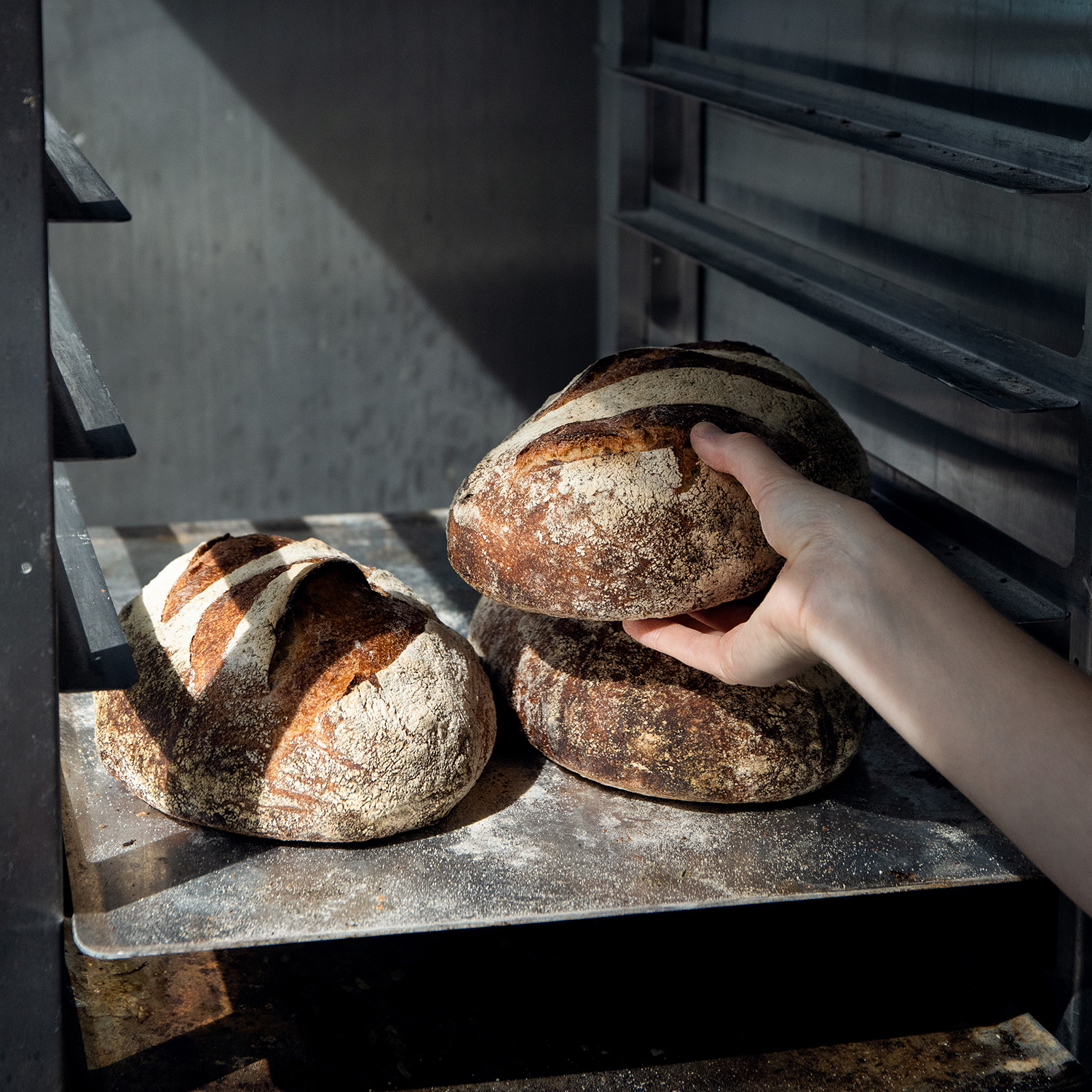 Meet our 2026 Great Taste Award winners